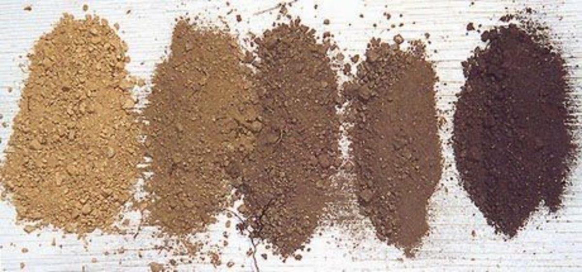 VisualManual Soil Classification and Description Owlcation