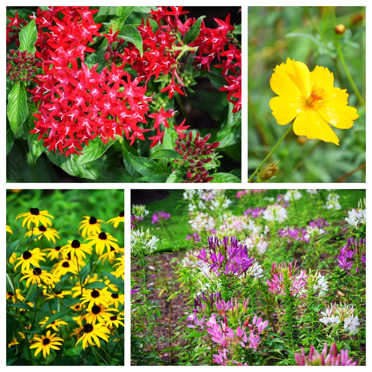 The Top 10 Things to Do in Norfolk, VA WanderWisdom