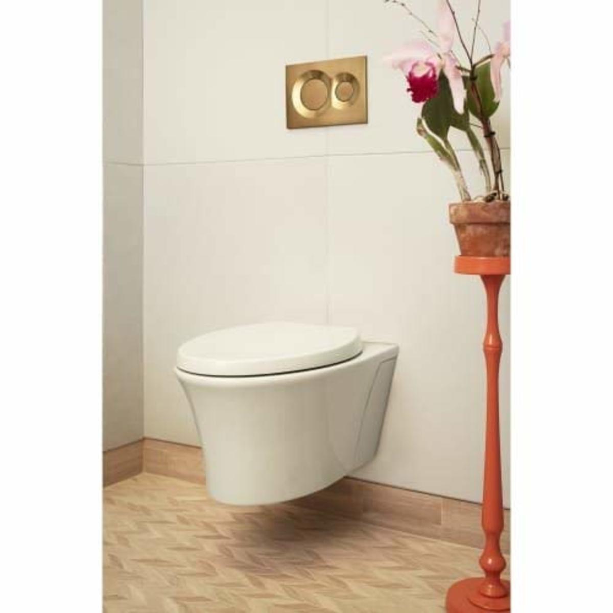 How to Install a WallMounted Toilet A StepbyStep Tutorial Dengarden