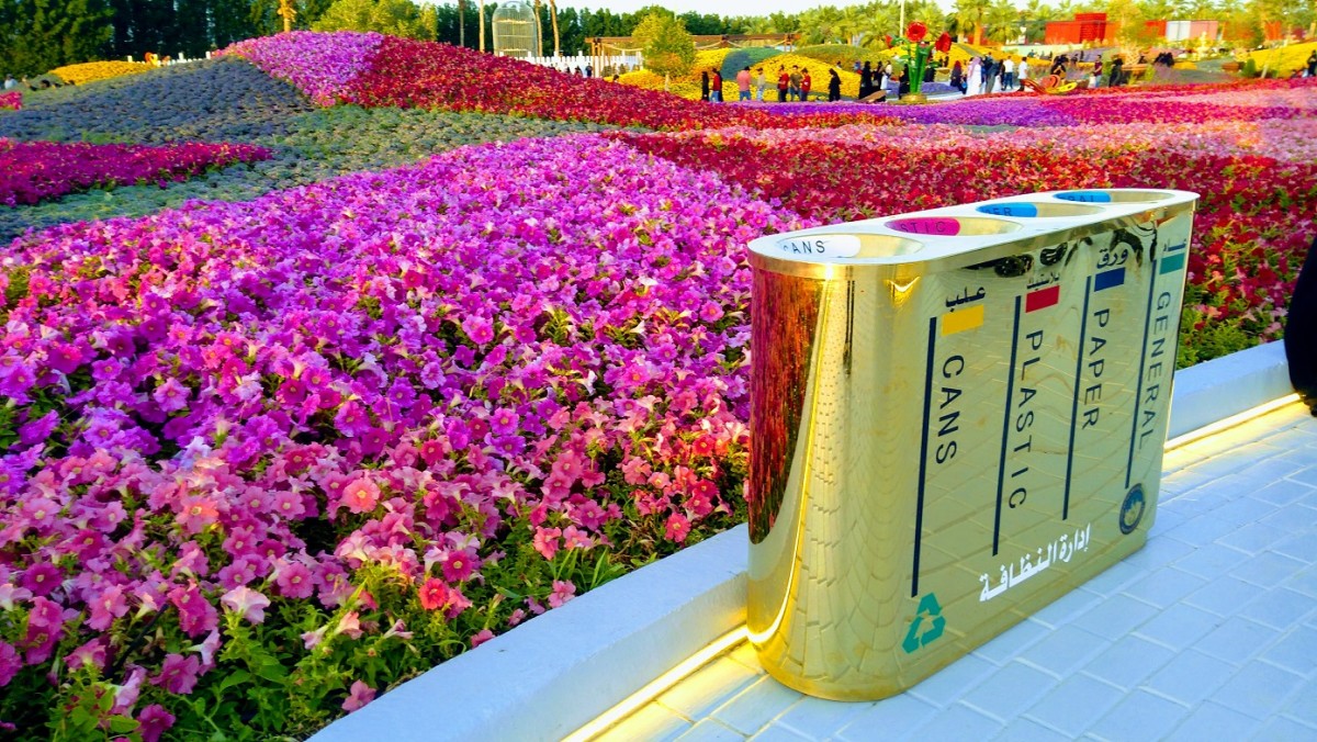 Yanbu Flowers Festival 2019 A Visual Feast HubPages