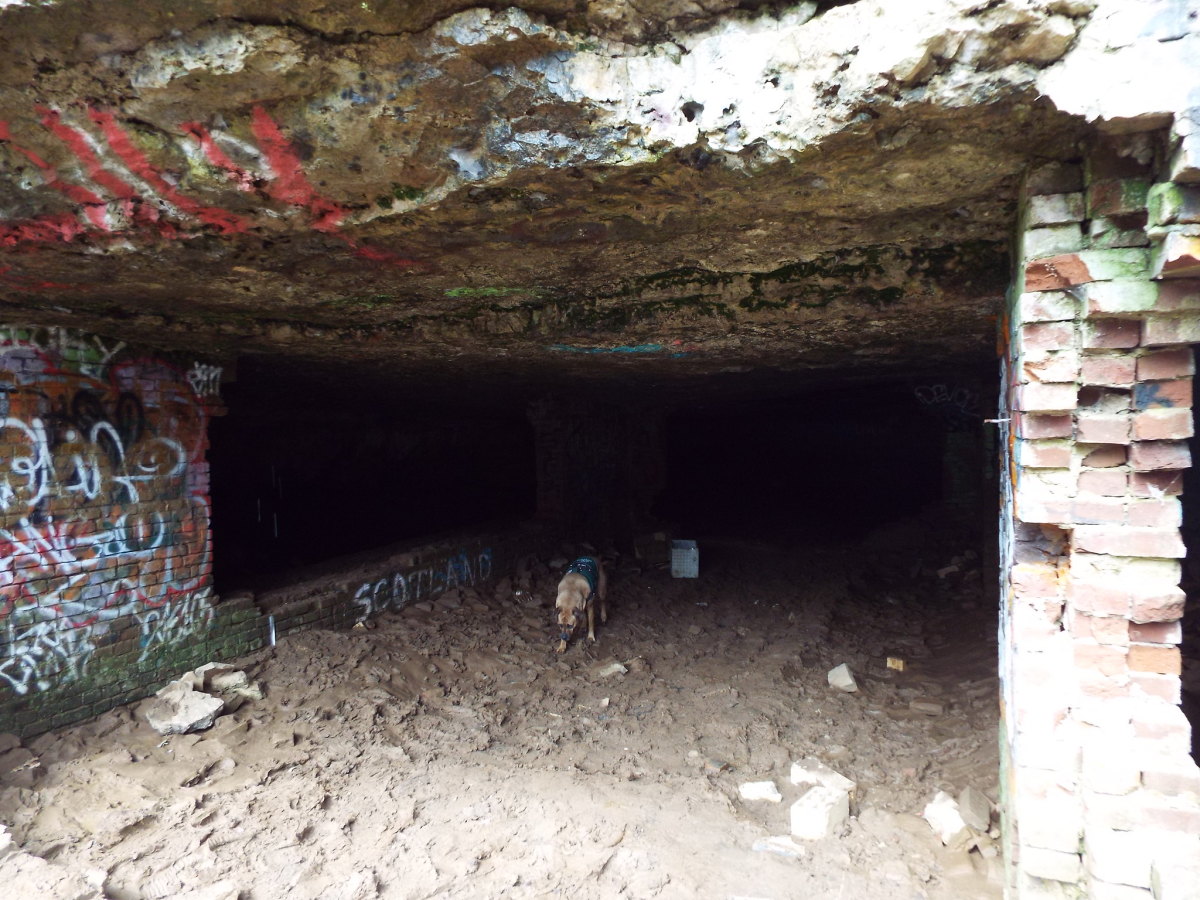 Sauerkraut Cave Haunted Kentucky HubPages