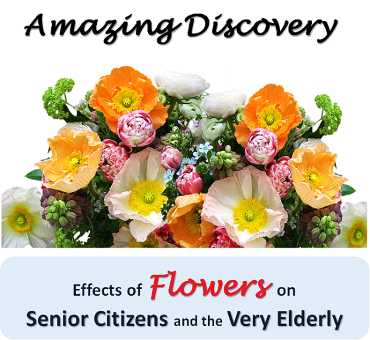 How Flowers Affect the Elderly Recent Study HubPages