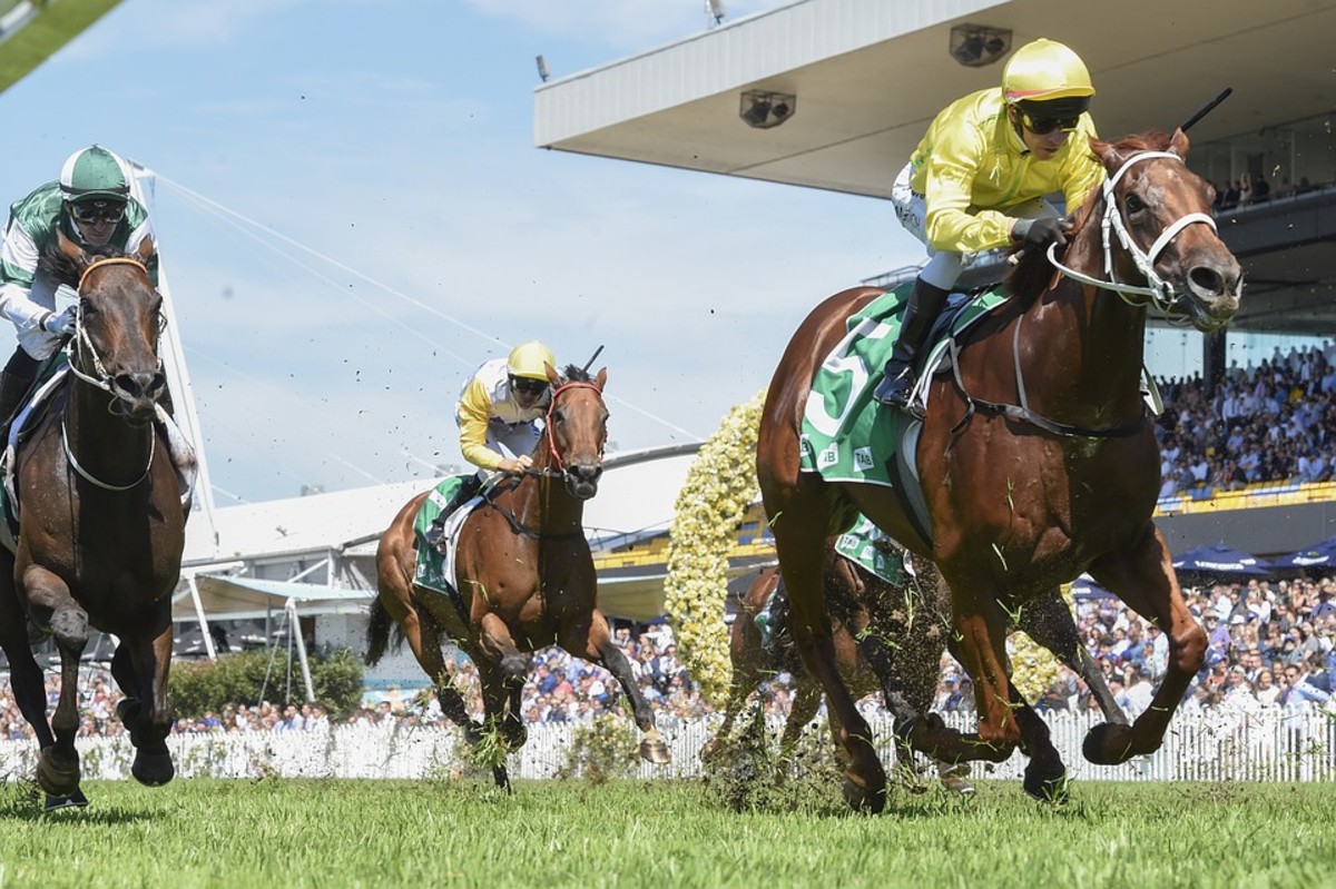 Mistreatment of Race Horses HowTheyPlay