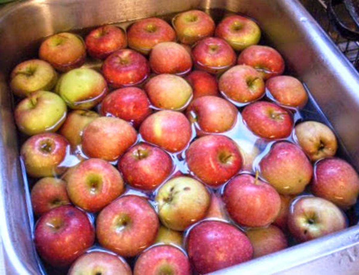 How to Can Apples for Pies and Desserts Illustrated Guide HubPages