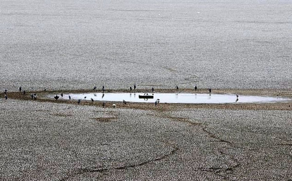 15 Worst Drying Lakes in the World Owlcation