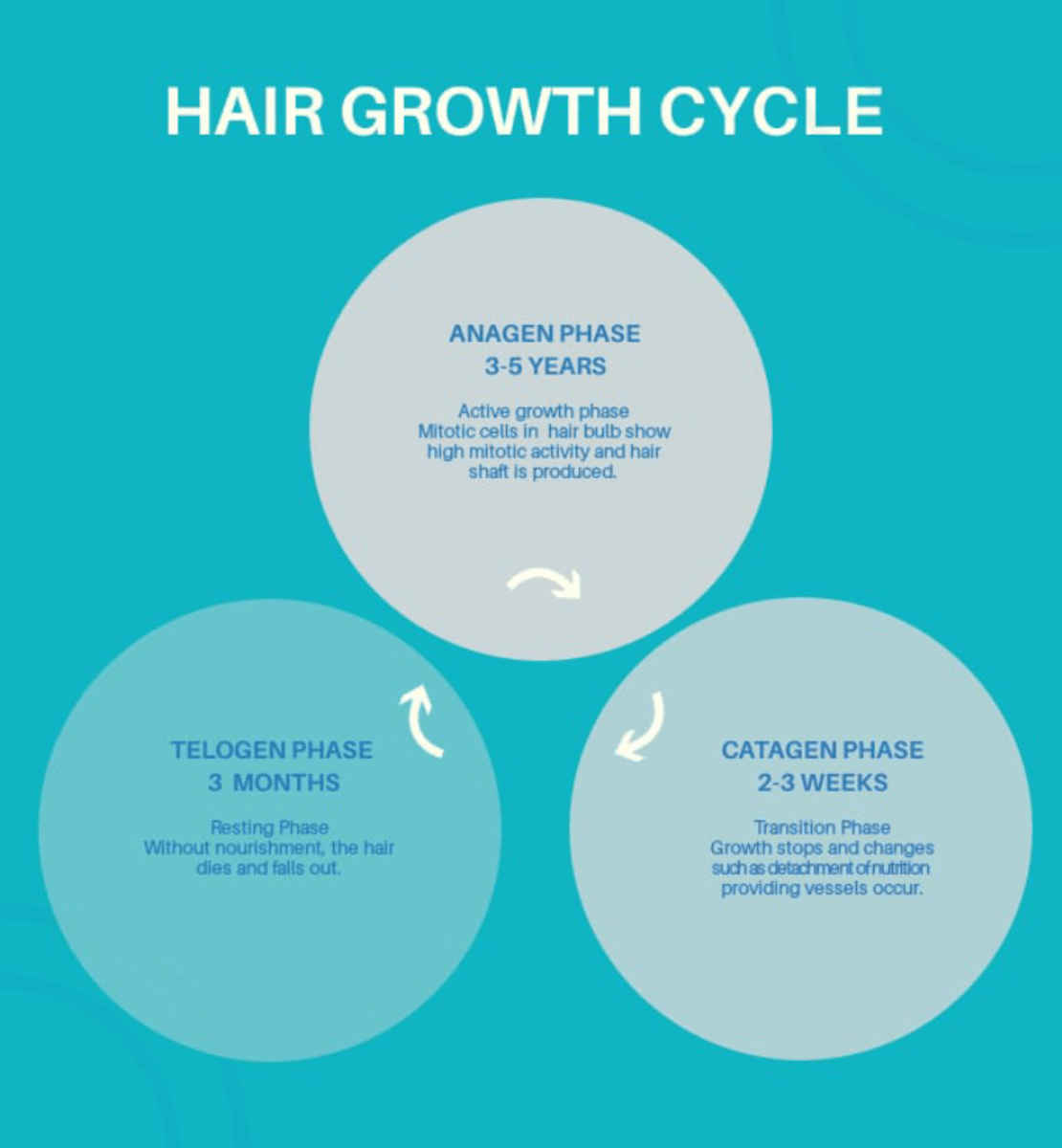 Medications That Cause Hair Loss YouMeMindBody