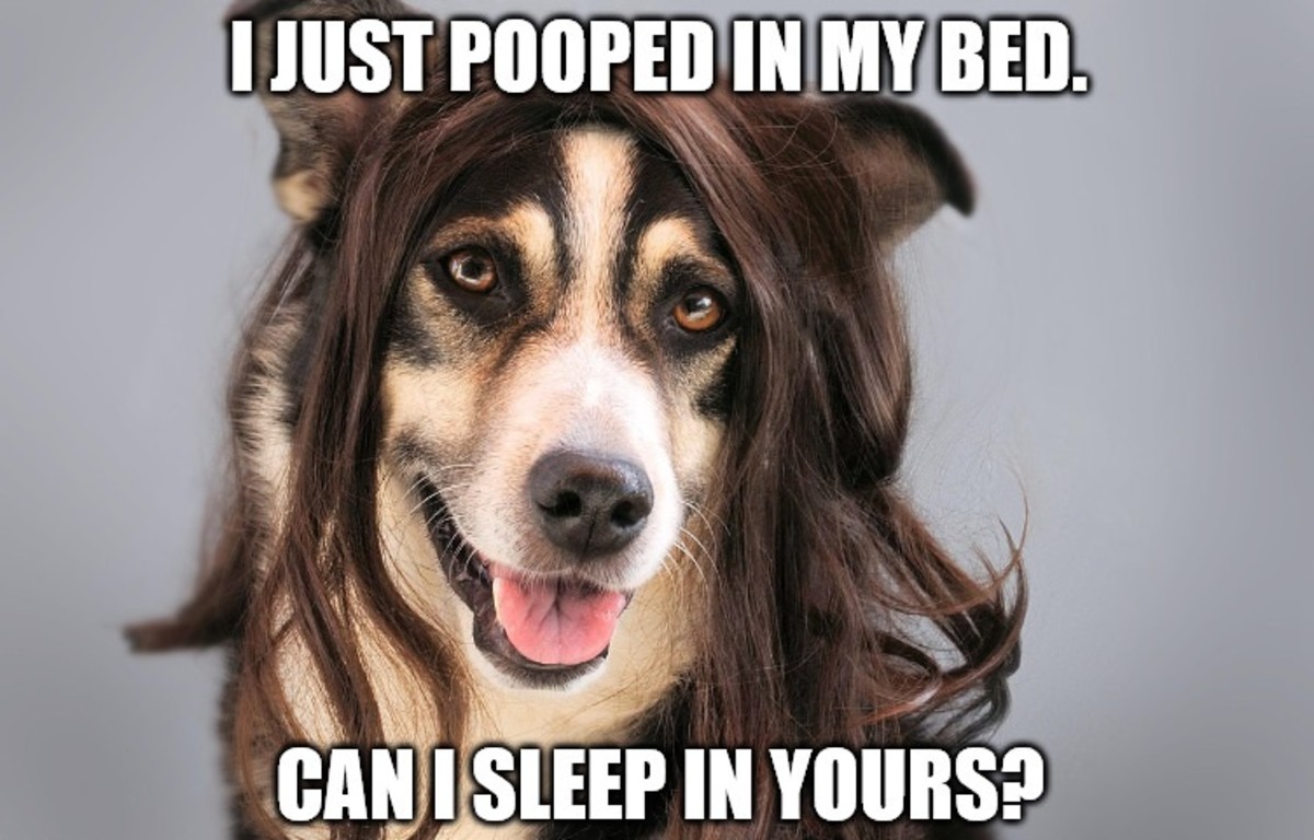 100+ Mean and Insulting PickUp Lines PairedLife