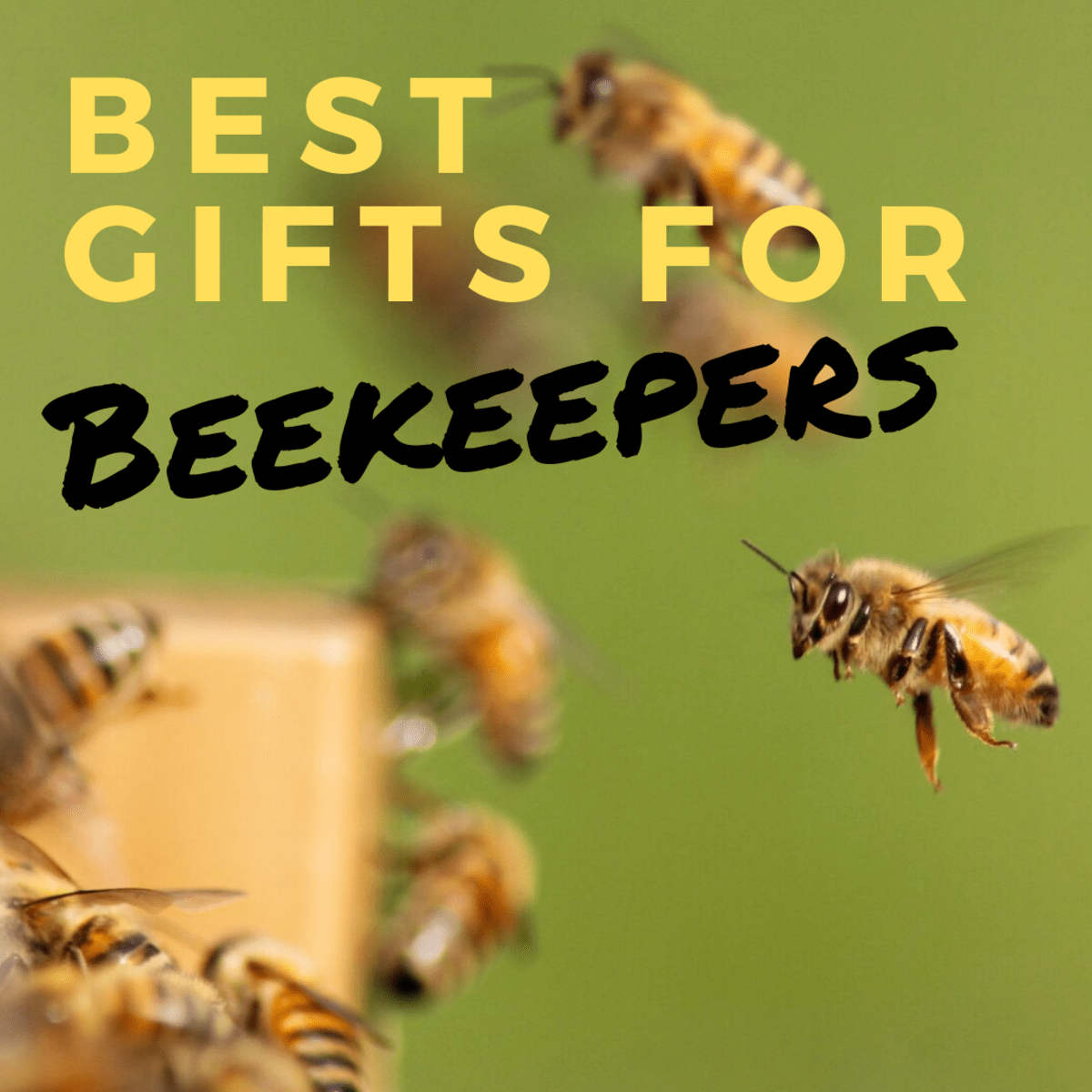 7 Gifts for Beekeepers Holidappy