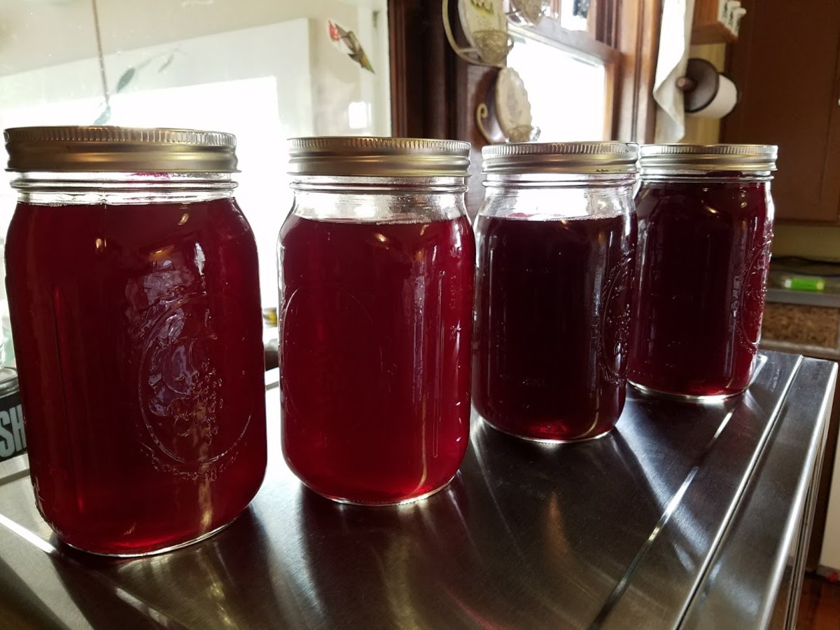 How to Make Juice Using a Steam Juicer Delishably