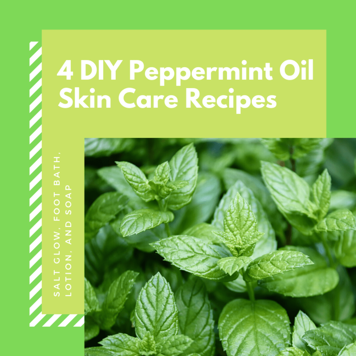 4 DIY Peppermint Essential Oil Skin Care & Beauty Recipes Bellatory
