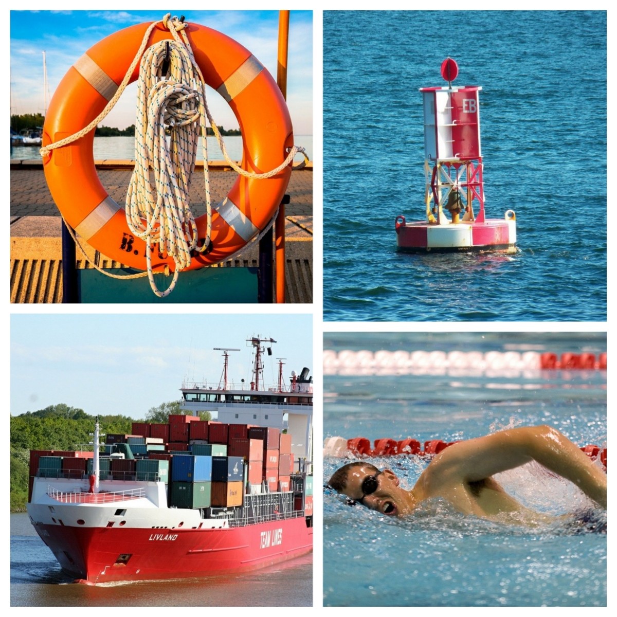 Archimedes' Principle and Understanding Buoyant Force Owlcation