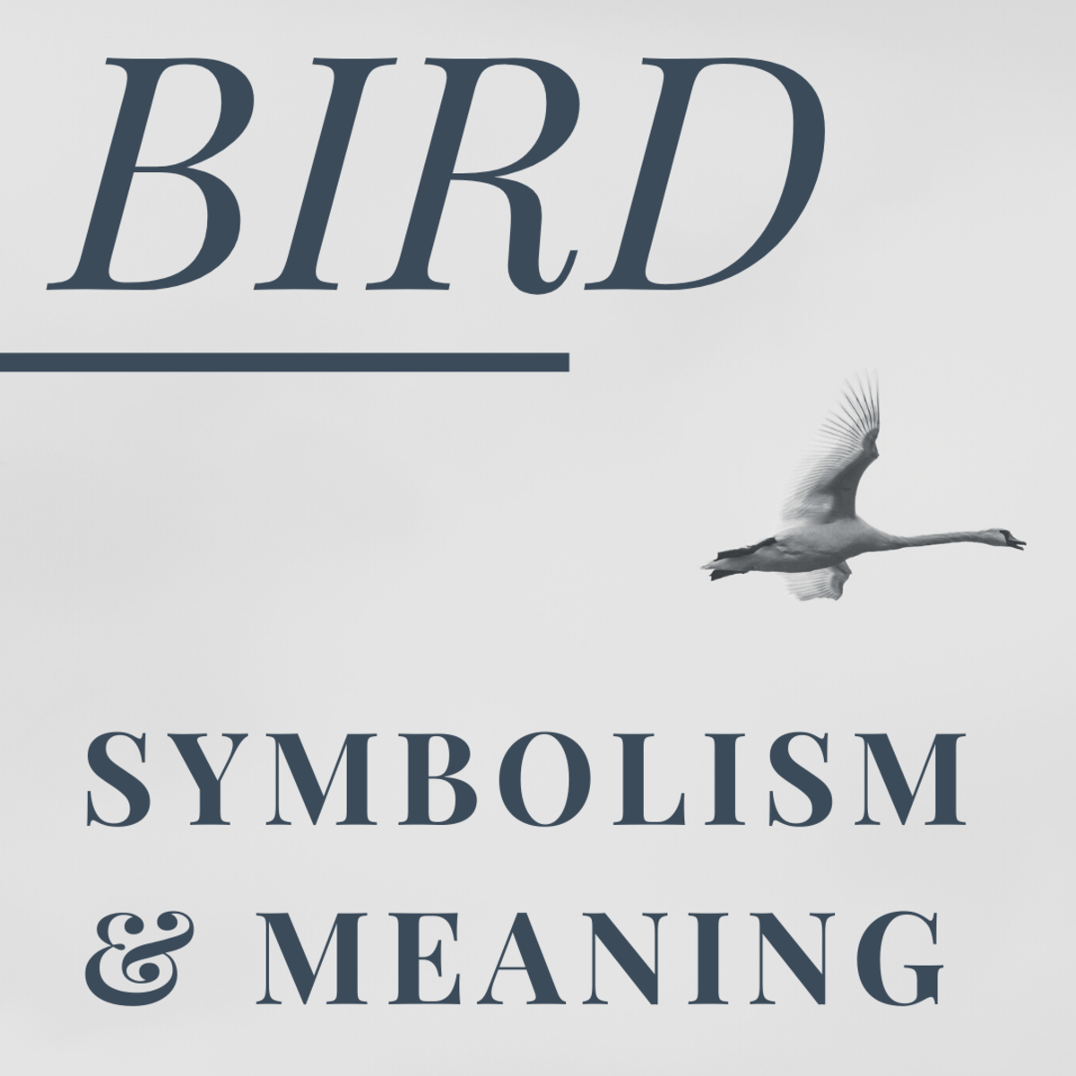 Death Hummingbird Symbolism