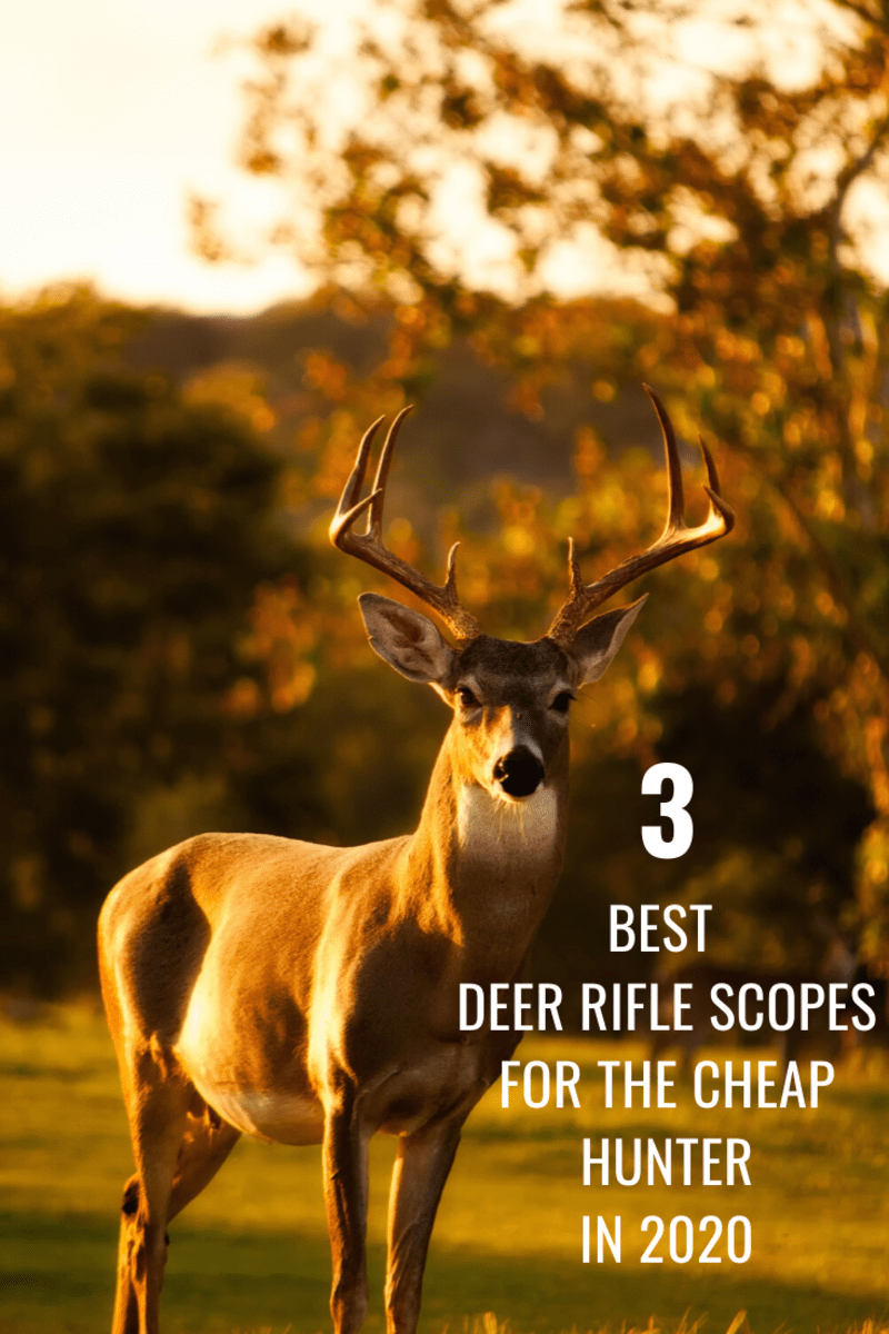 Best 3 Deer Rifle Scopes for Cheap Under 100 for 2020 HubPages