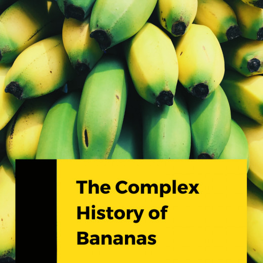 Exploring Bananas The Commonplace Fruit With a Complex History Delishably