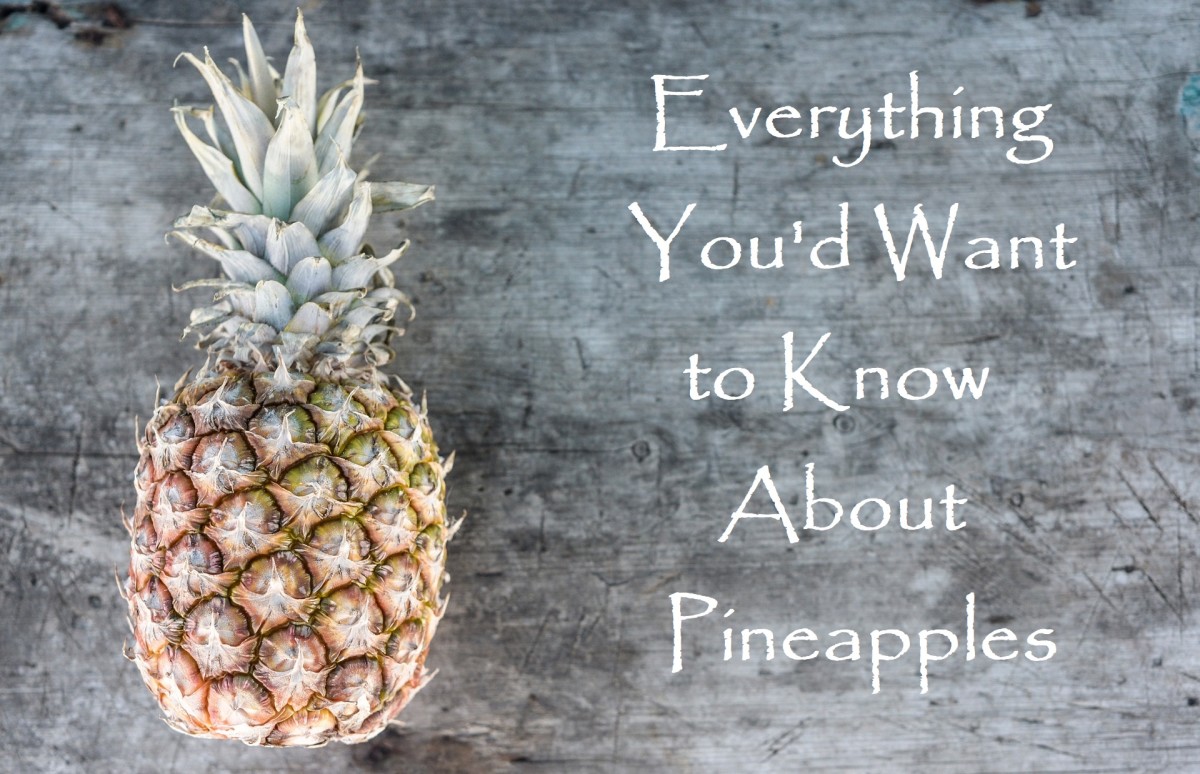 Exploring Pineapple History and Recipes Delishably