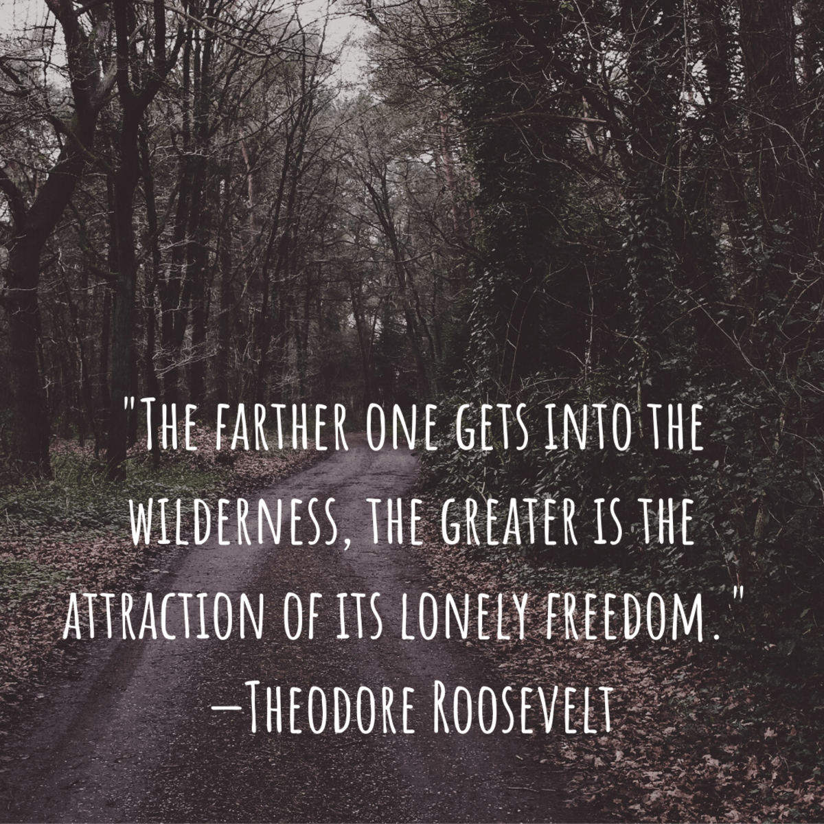 Inspirational Quotes About Nature and the Outdoors Holidappy