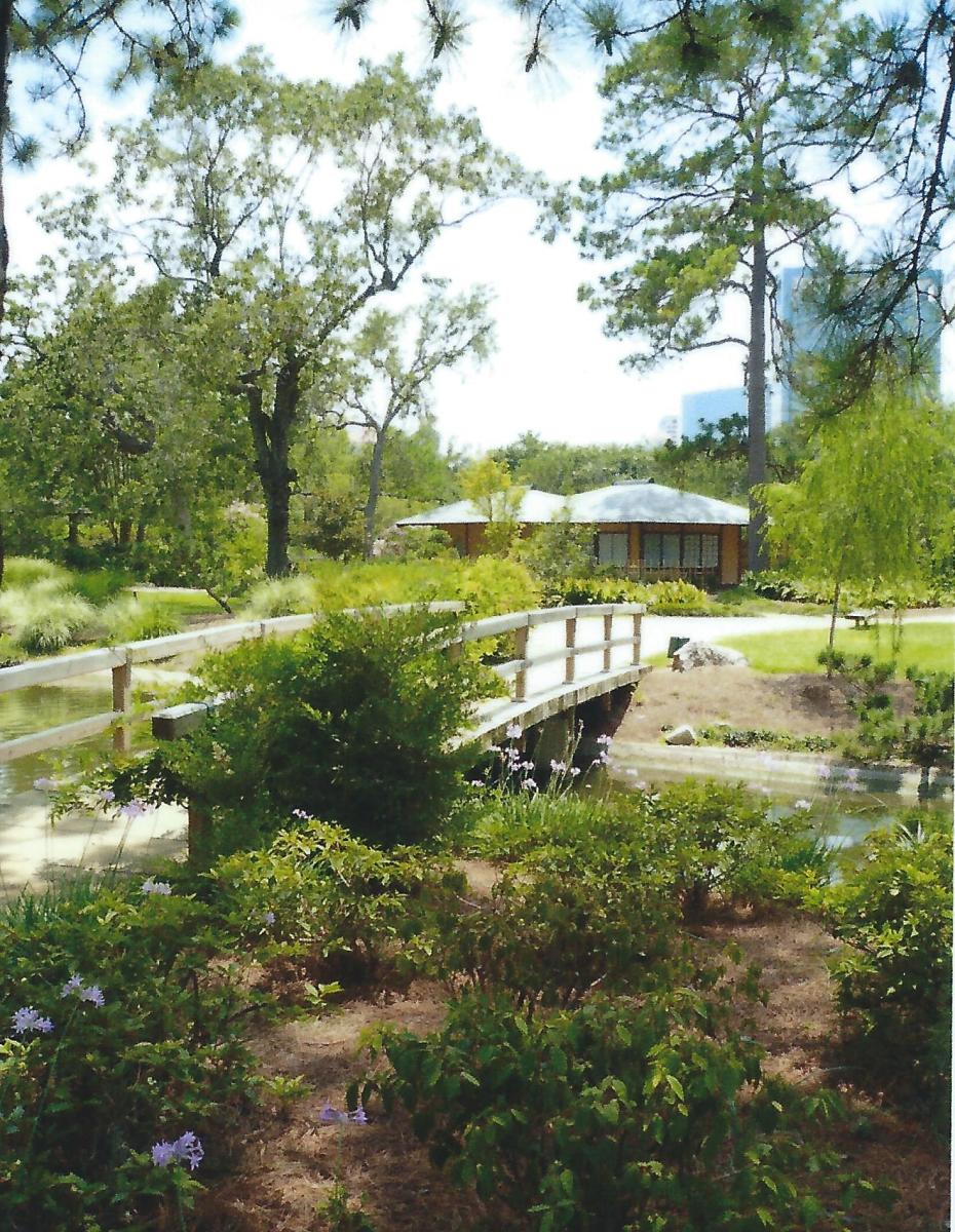 Japanese Tea Garden in Houston, Texas Serenity in Hermann Park
