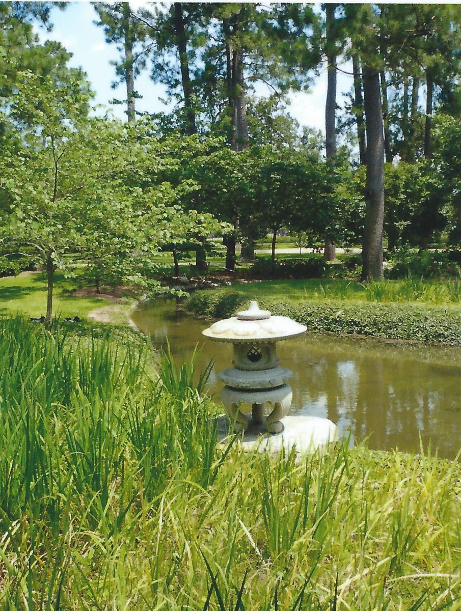 Japanese Tea Garden in Houston, Texas Serenity in Hermann Park
