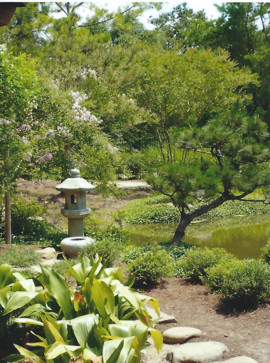Japanese Tea Garden in Houston, Texas Serenity in Hermann Park