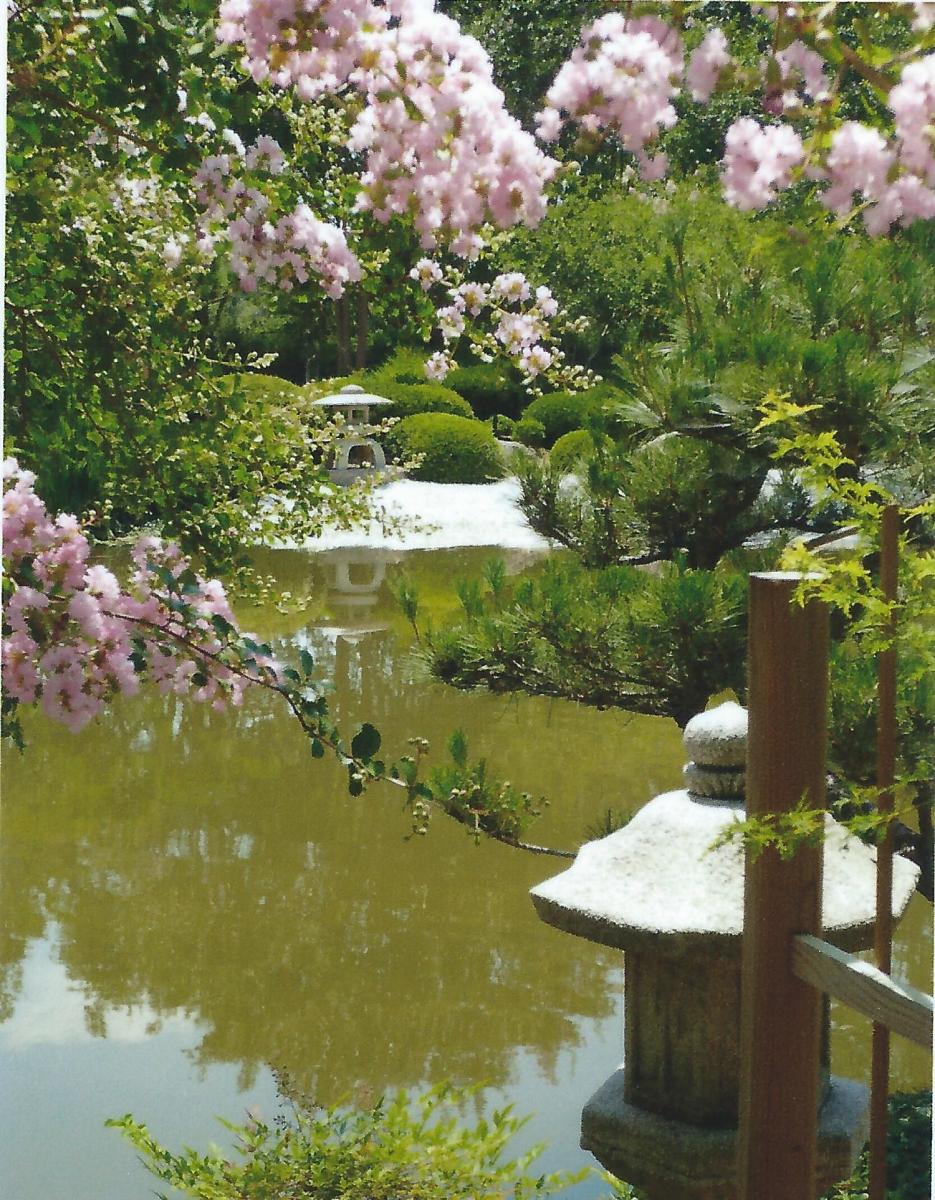 Japanese Tea Garden in Houston, Texas Serenity in Hermann Park HubPages