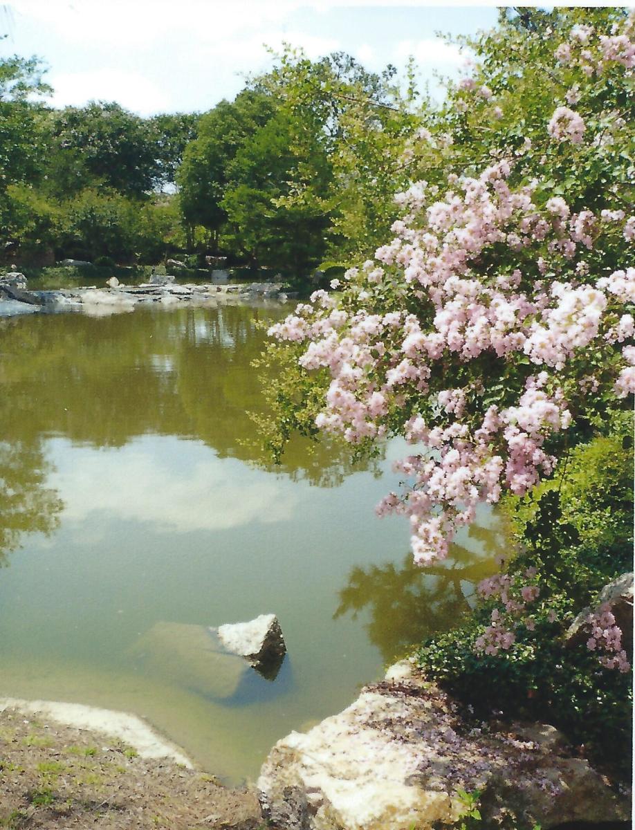Japanese Tea Garden in Houston, Texas Serenity in Hermann Park
