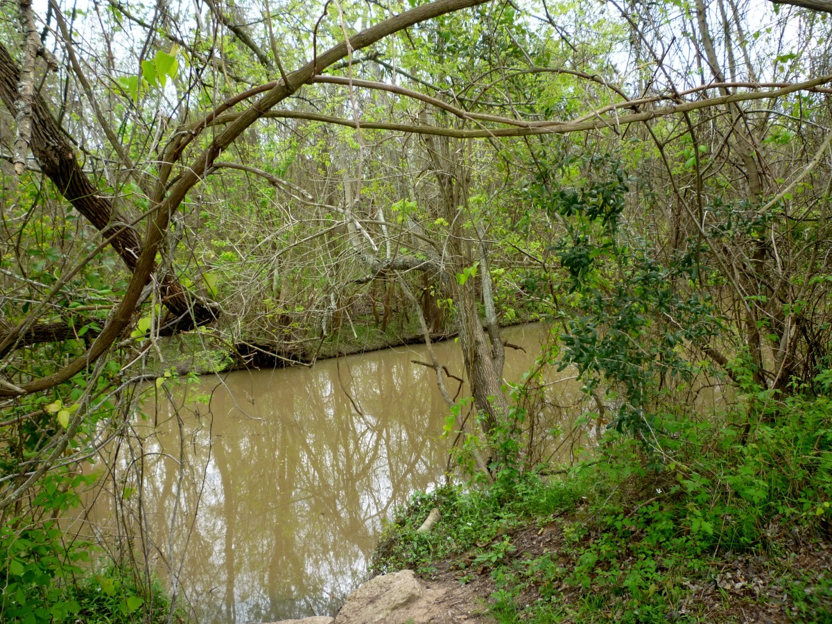 Oyster Creek Park Spectacular Beauty and Art in Sugar Land, Texas