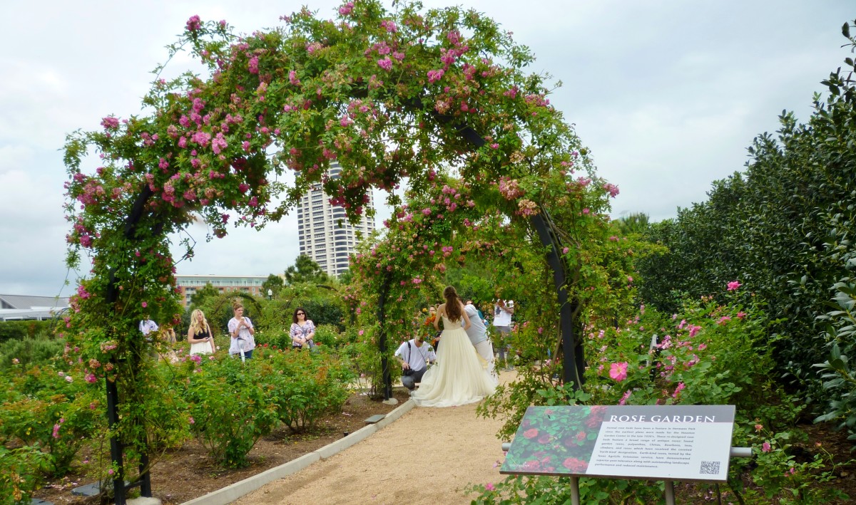 McGovern Centennial Gardens in Houston's Hermann Park HubPages