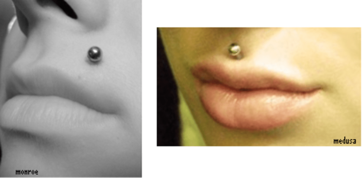 Everything You Need to Know About Oral Piercings TatRing