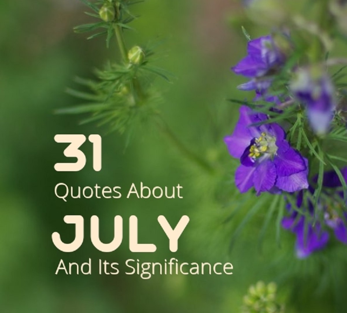31 Quotes About July and Its Significance Holidappy