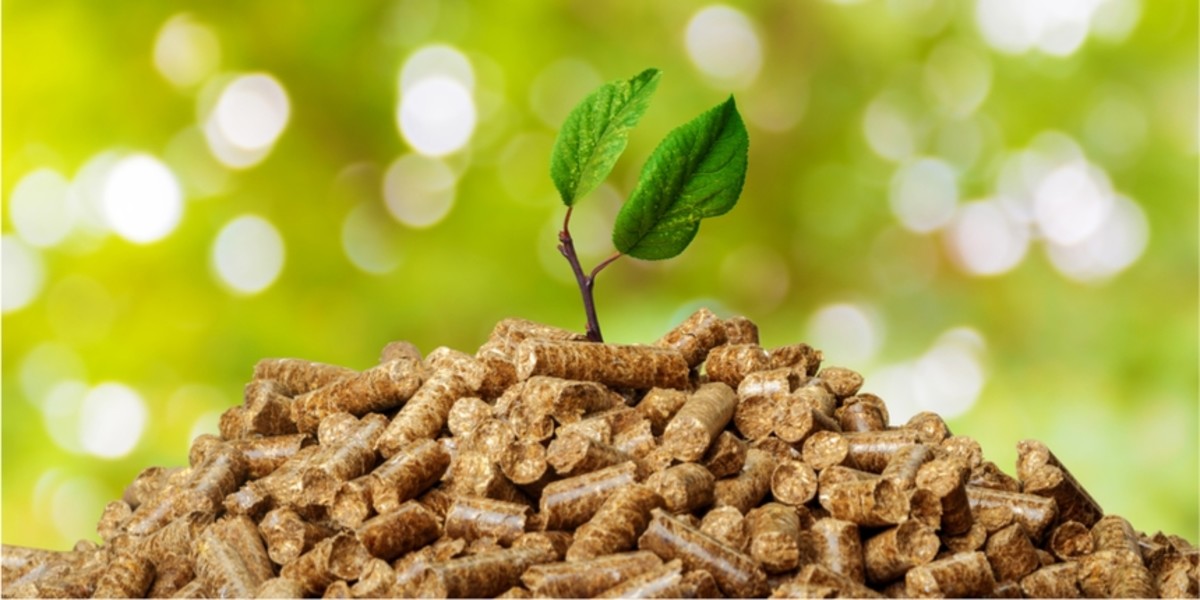 Advantages of Biomass HubPages