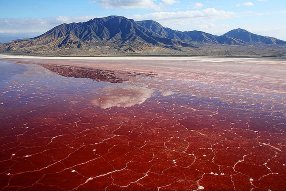Lake Natron One of the Unique Lakes in the World HubPages