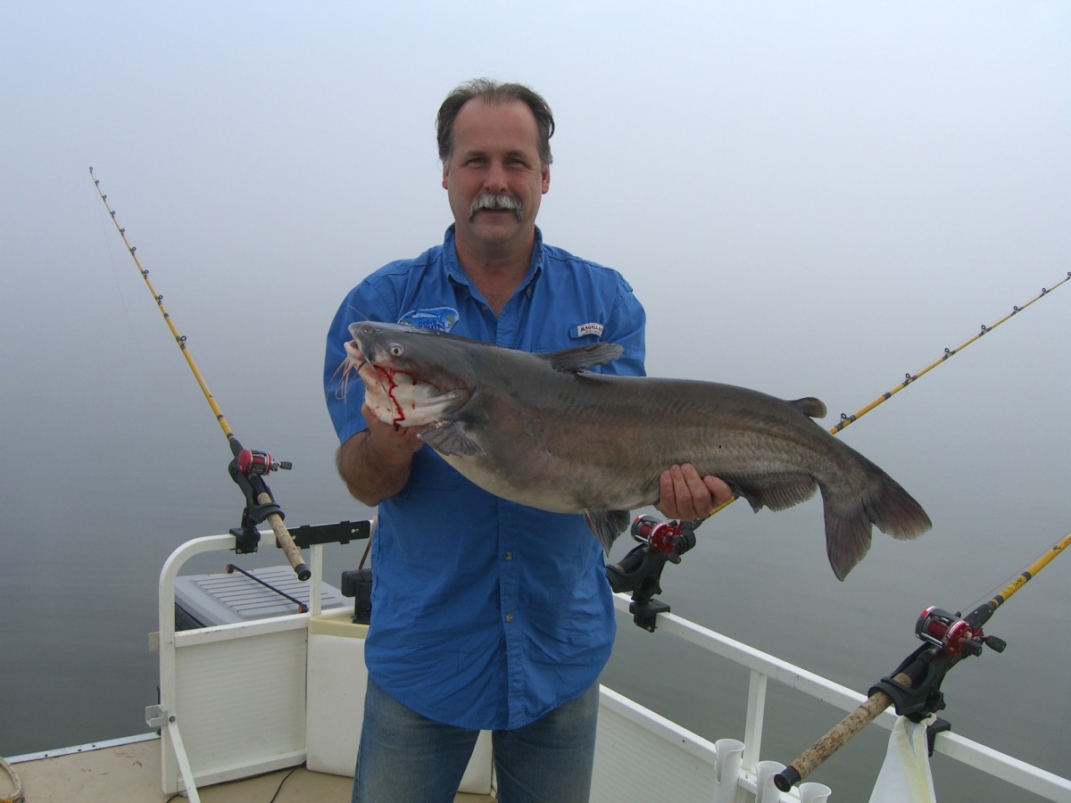 How to Catch Big Catfish Best Rigs
