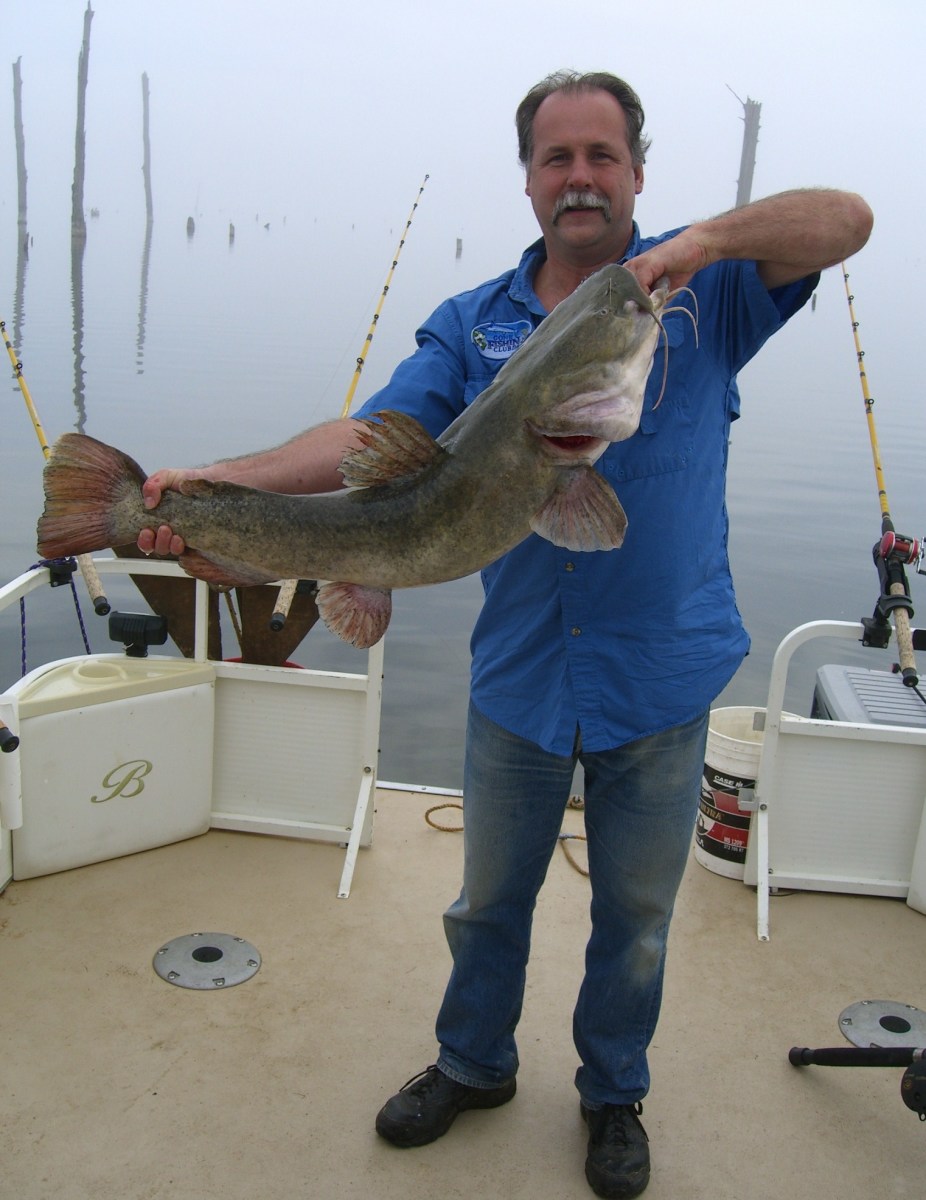 How to Catch Big Catfish Best Rigs