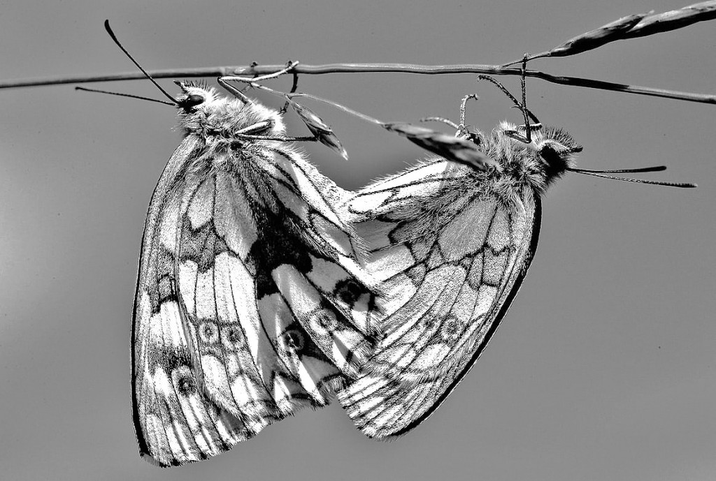 Let Gravity Fail Us. HubPages