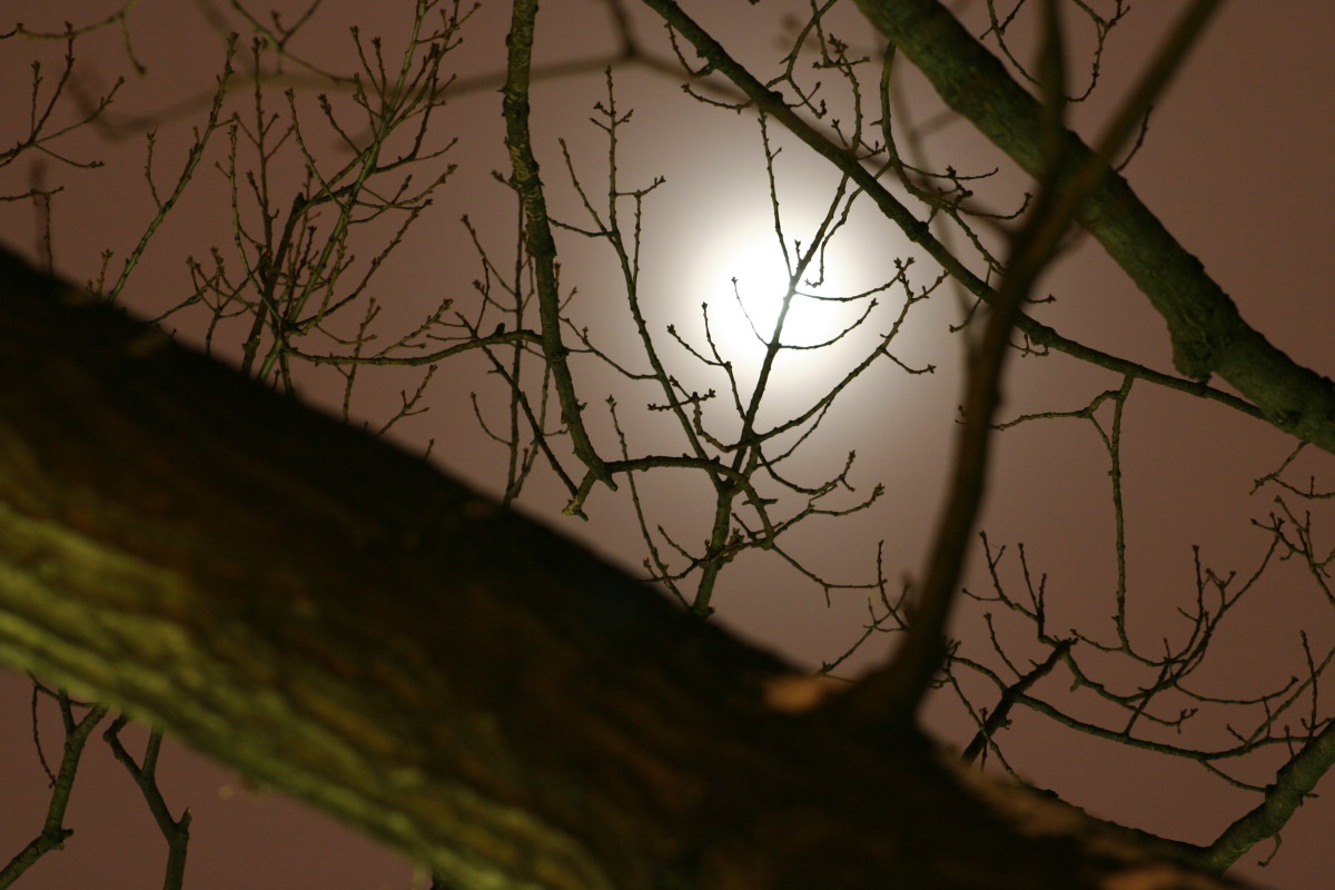 Moon, and other acrostic poems LetterPile