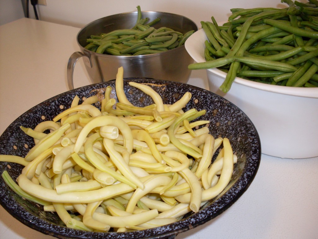 How to Can Green Beans Using a Pressure Canner An Illustrated Guide