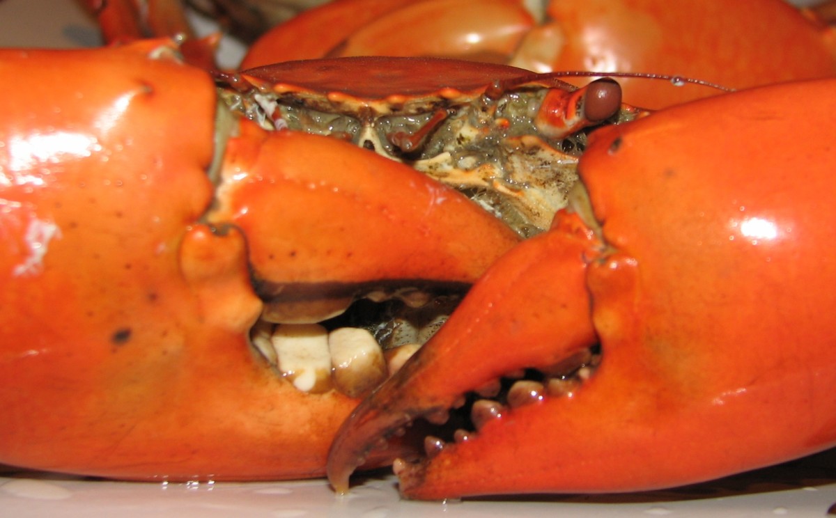 How to Cook and Eat IntheShell Crab Delishably