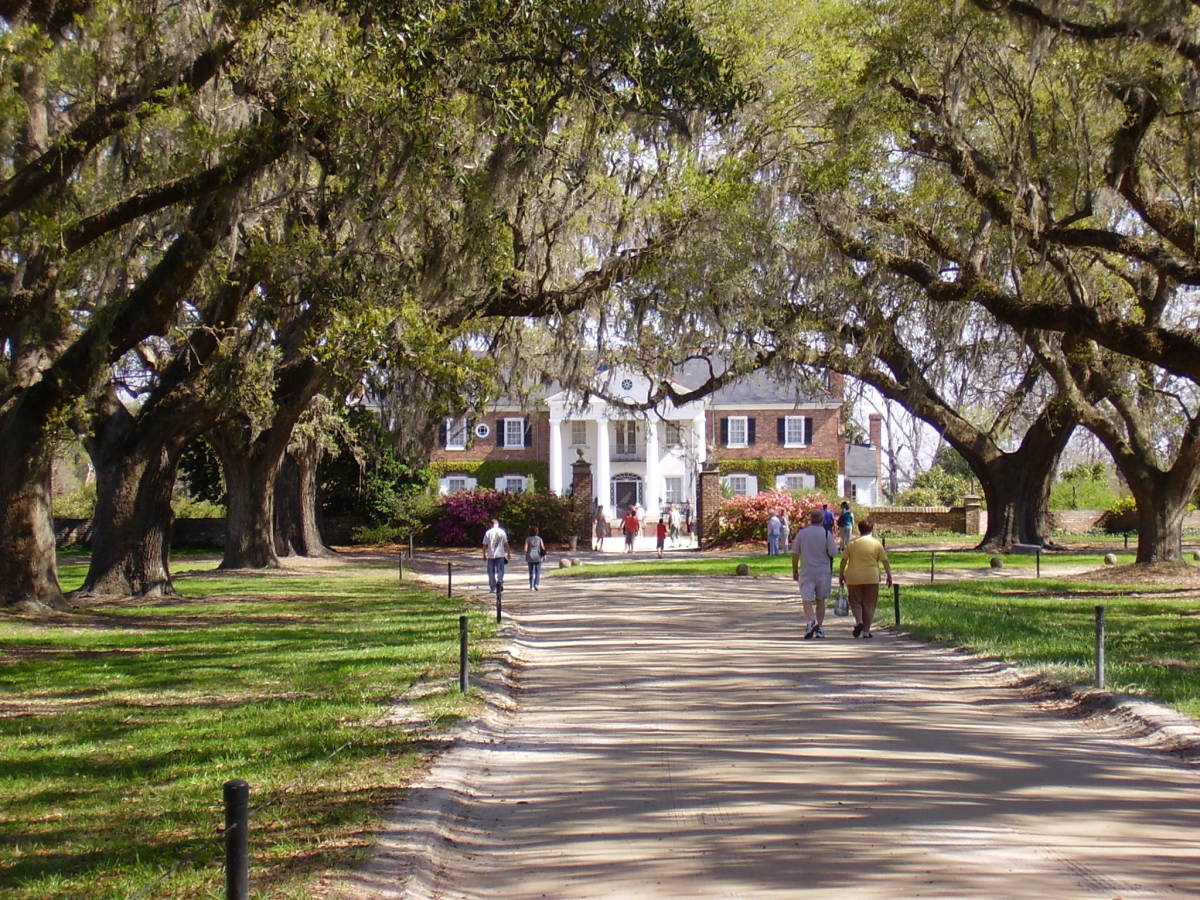 Historical Tours Boone Hall Plantation