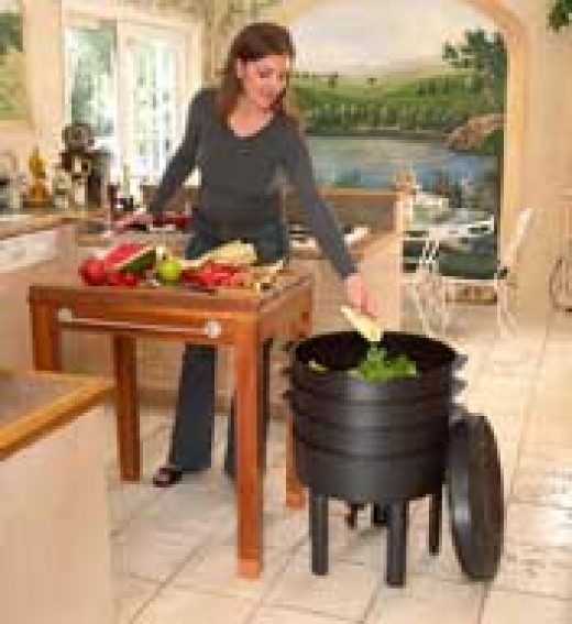 Vermiculture Red Wiggler Composting Worms on Indoor and Outdoor Worm