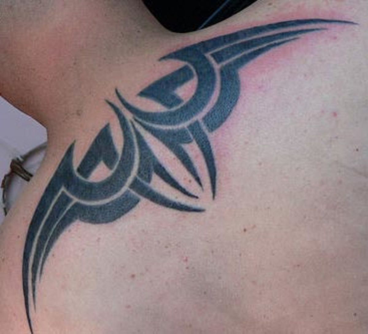 Wing Tattoo Meanings and Photos Angel, Fairy, and Tribal