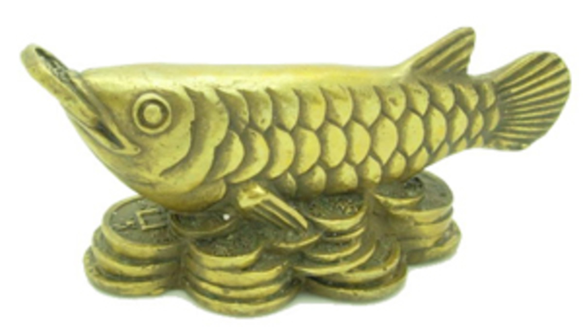 Feng Shui Fish for Good Luck and Prosperity HubPages