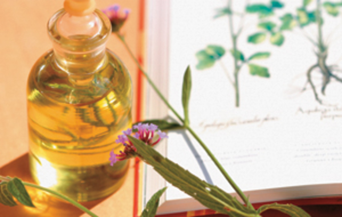 What Is The Difference Between Essential and Fixed Oils? HubPages