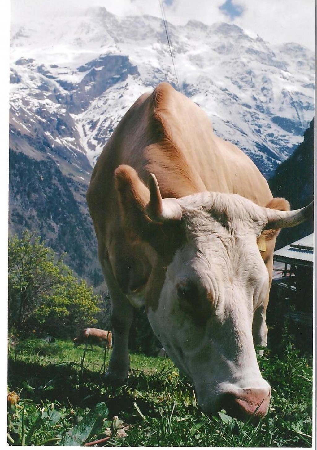 Extreme Sports in Interlaken, Switzerland HubPages