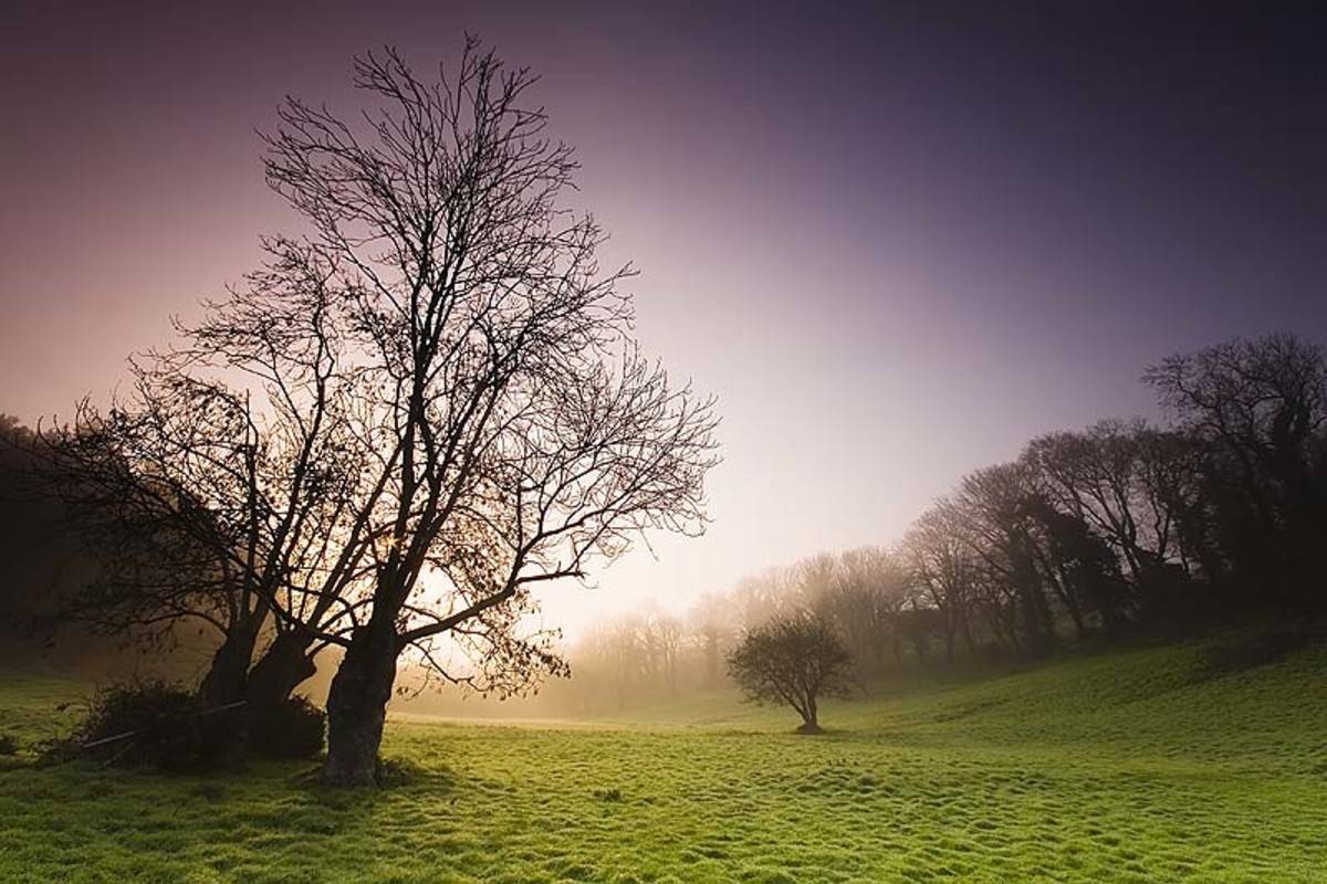 Beautiful Pictures and Photos of Guernsey Scenery HubPages