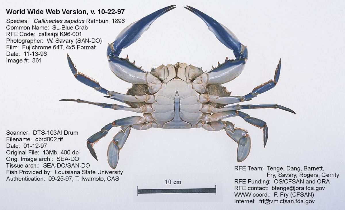 All About Crabbing SkyAboveUs