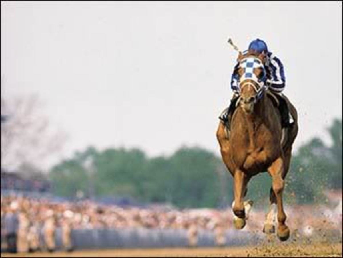 The Greatest Racehorse Secretariat. HubPages