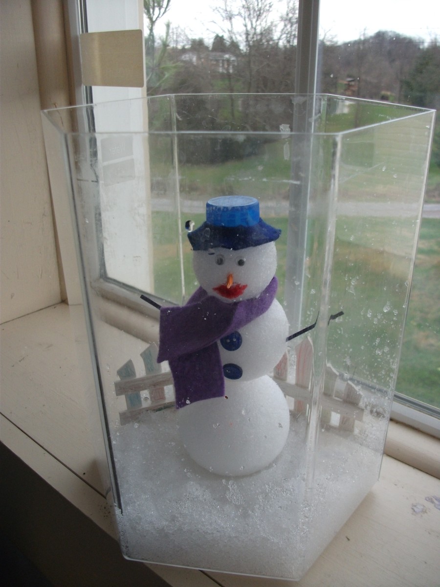 Easy Snow and Ice Science Experiments for Kids WeHaveKids