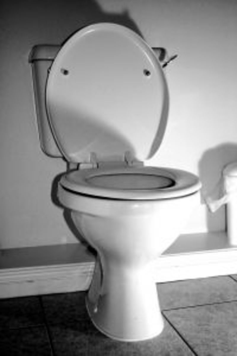 Installing a Toilet How to Install a Toilet Yourself HubPages