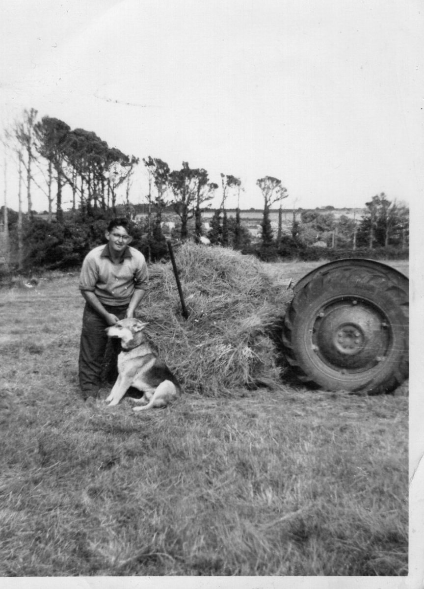Original Old Guernsey Farming Pictures and Photos. HubPages