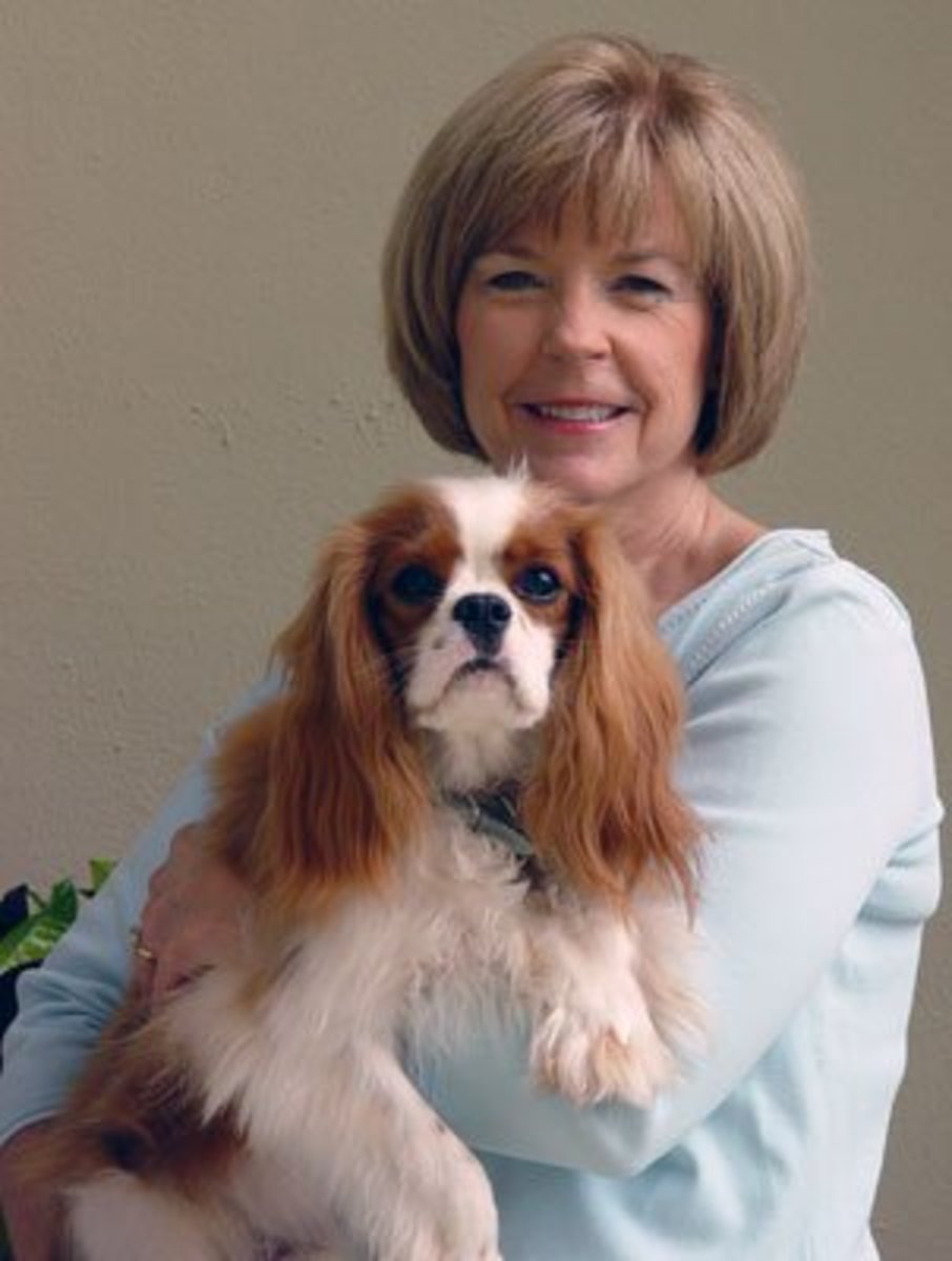 The woman who sat in the toilet bowl for 2 long years HubPages